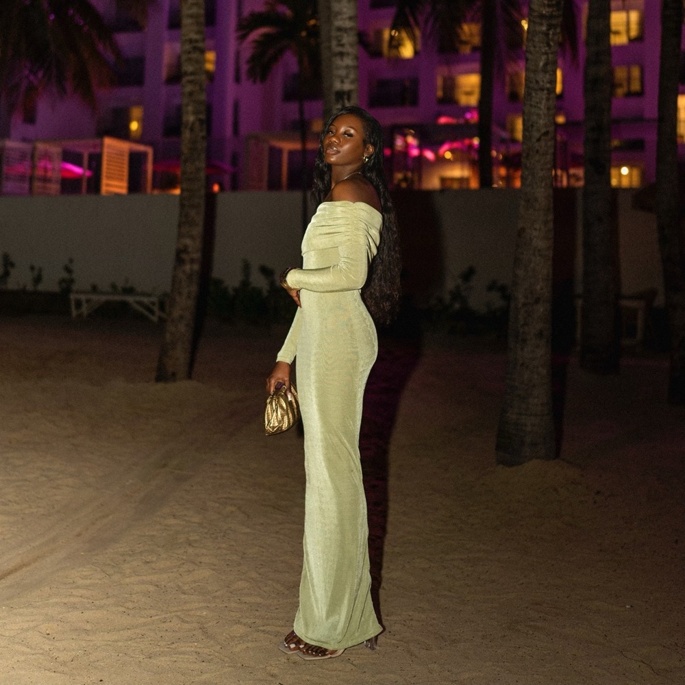 Sage green slinky long sleeve maxi dress.